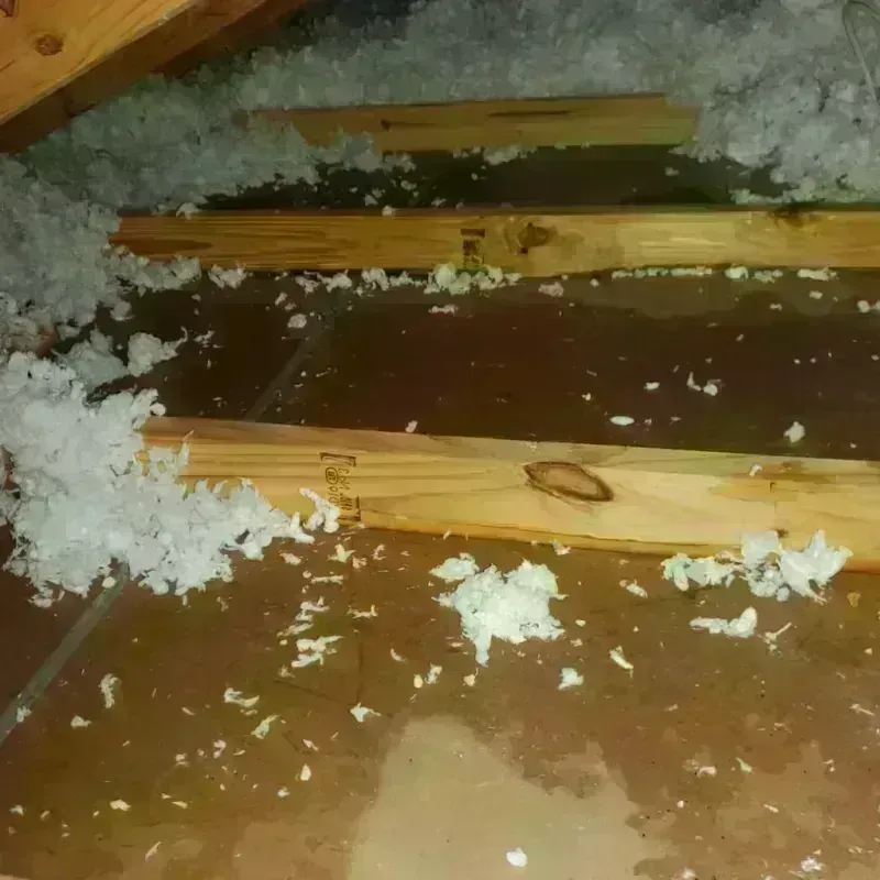 Attic Water Damage in Alamo, CA