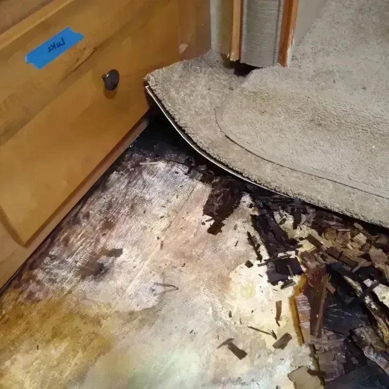 Wood Floor Water Damage in Alamo, CA